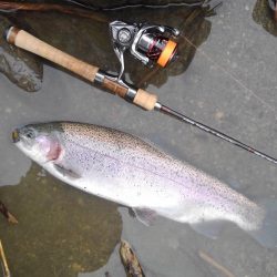 天竜川ルアーフライ専用区